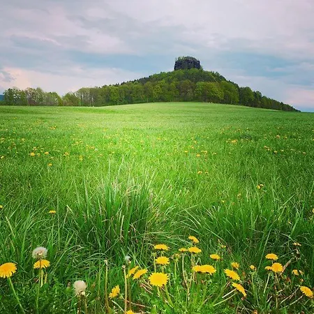 Blumenwiese Lejlighed