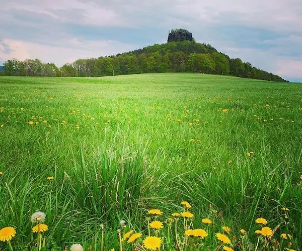 Blumenwiese Apartmán